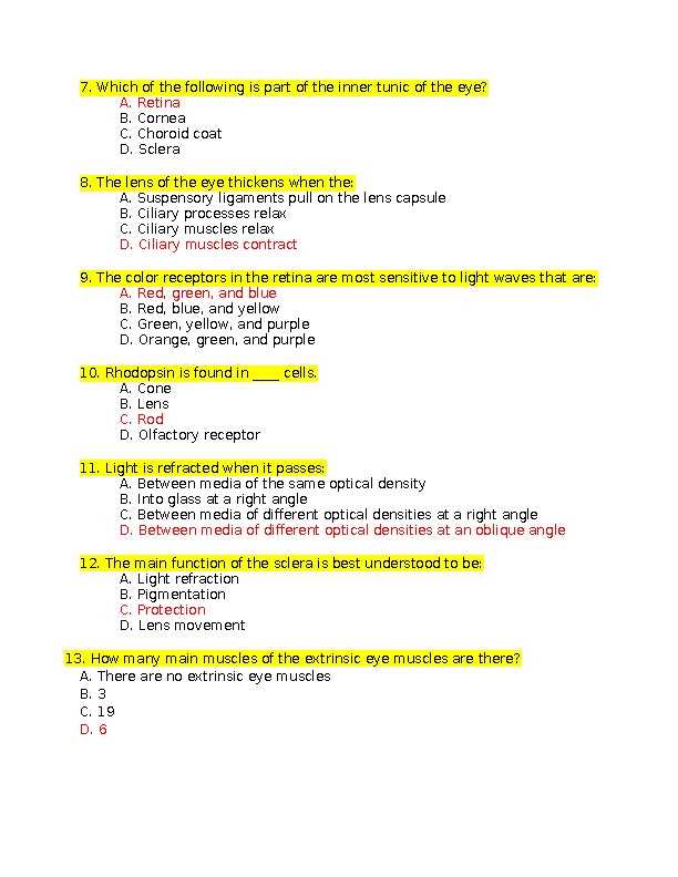 an eye on the ion answer key