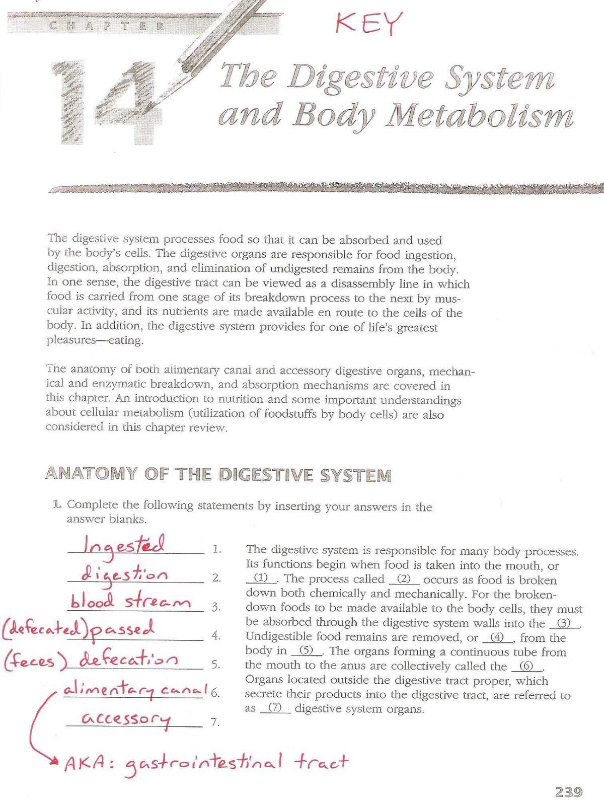 anatomy and physiology coloring workbook chapter 3 answer key