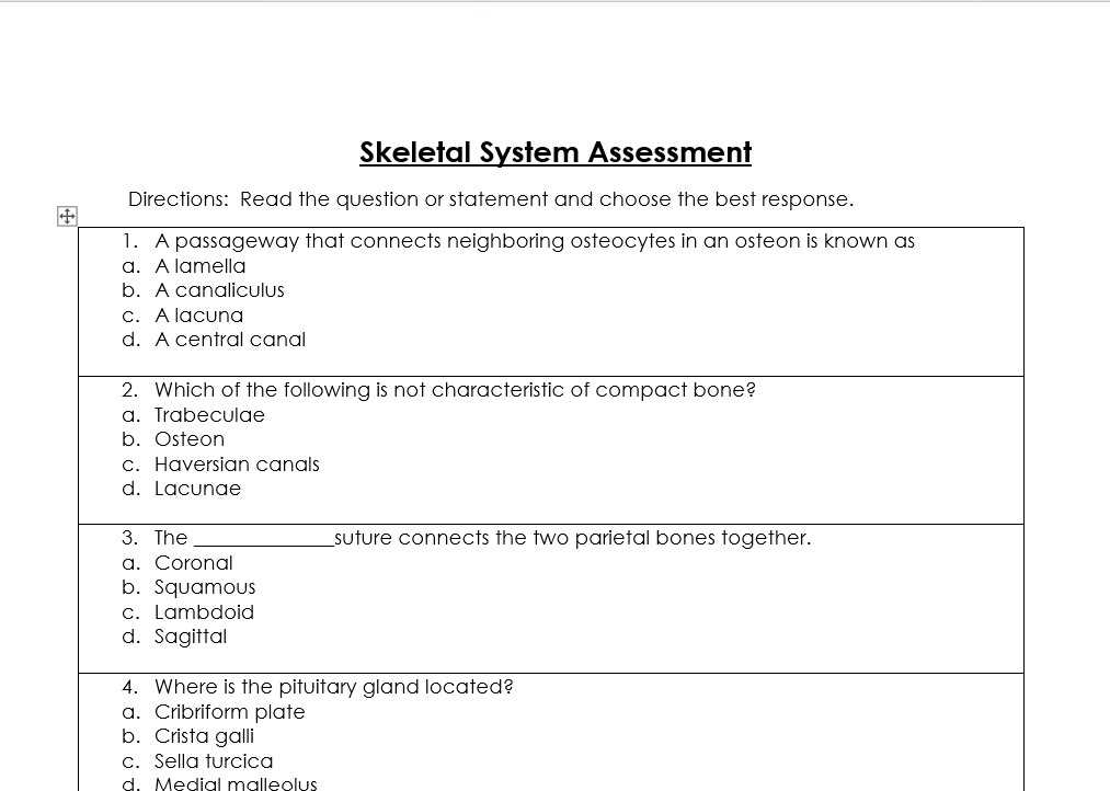 anatomy challenge answer key