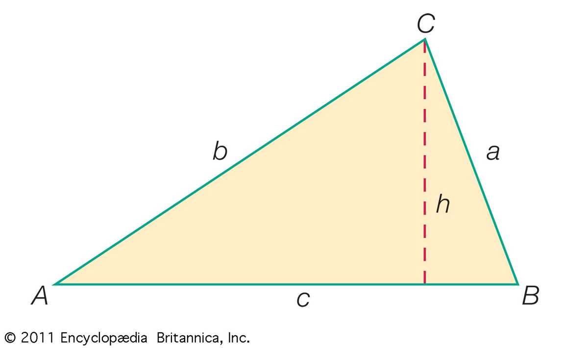 angles of triangles review activity answer key