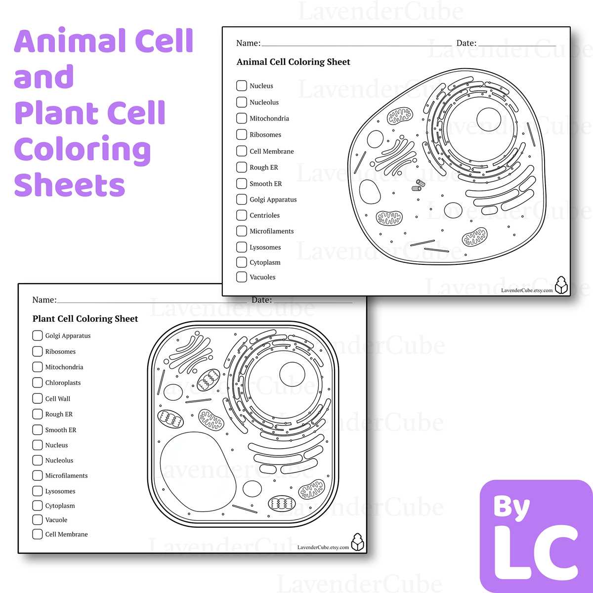 animal cell diagram answer key