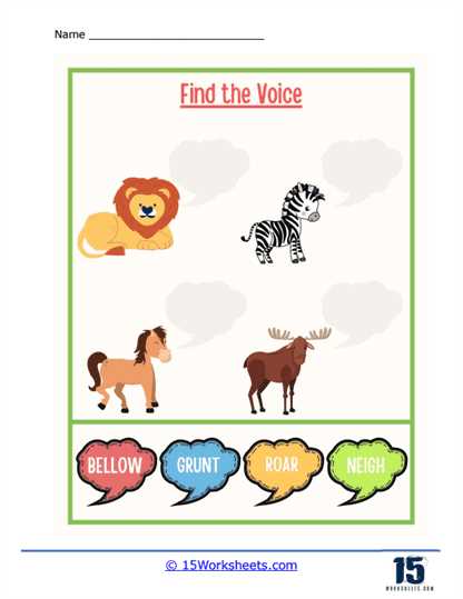 animal phylum matching answer key