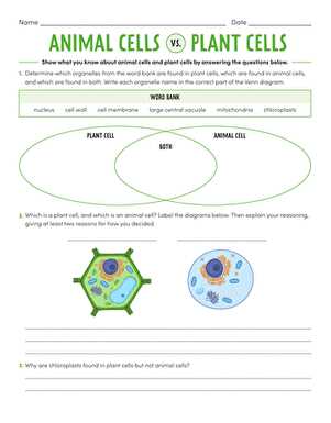 animal systems and plant systems test review sheet answers key