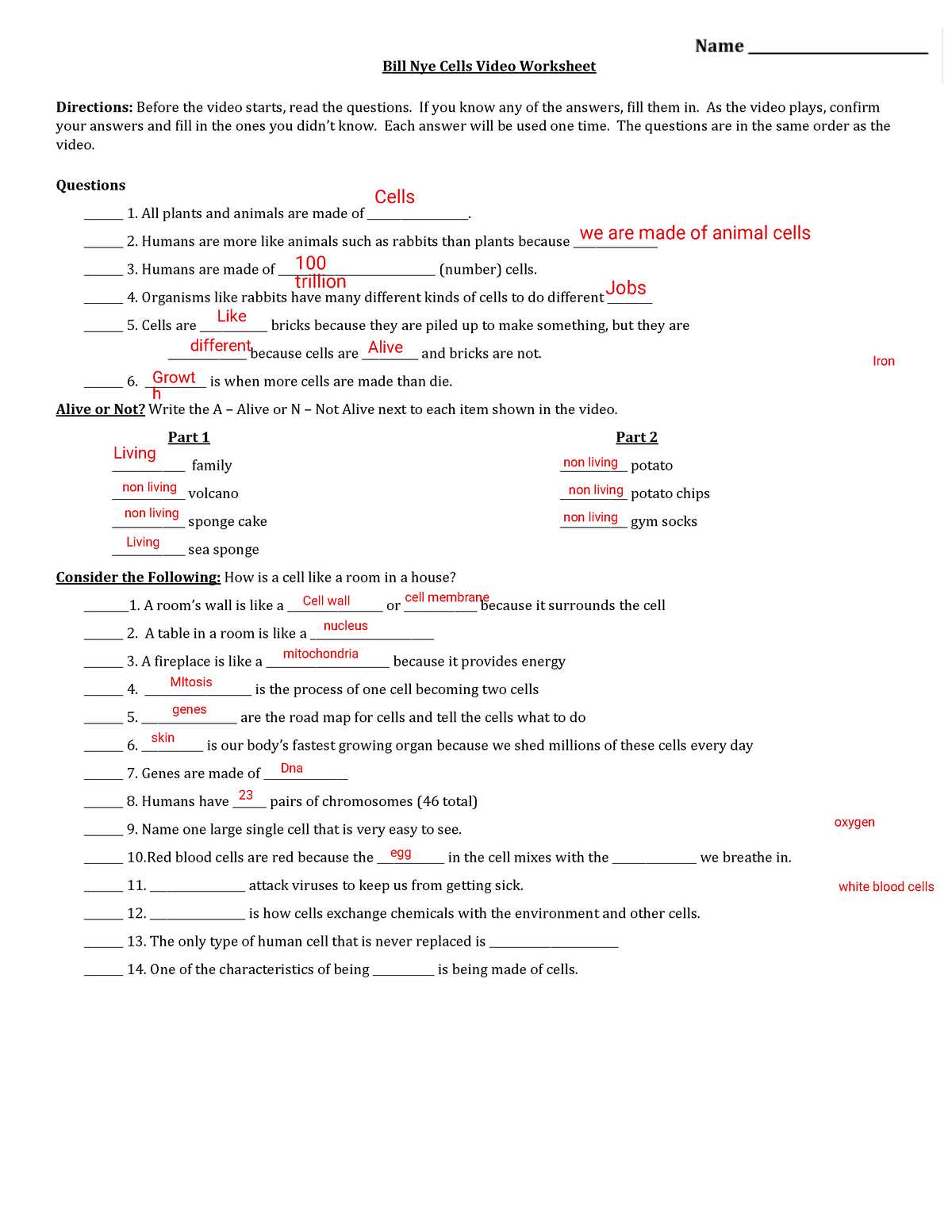 answer key bill nye the science guy cells worksheet answers