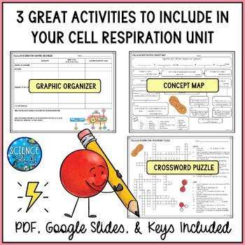 answer key cellular respiration concept map key