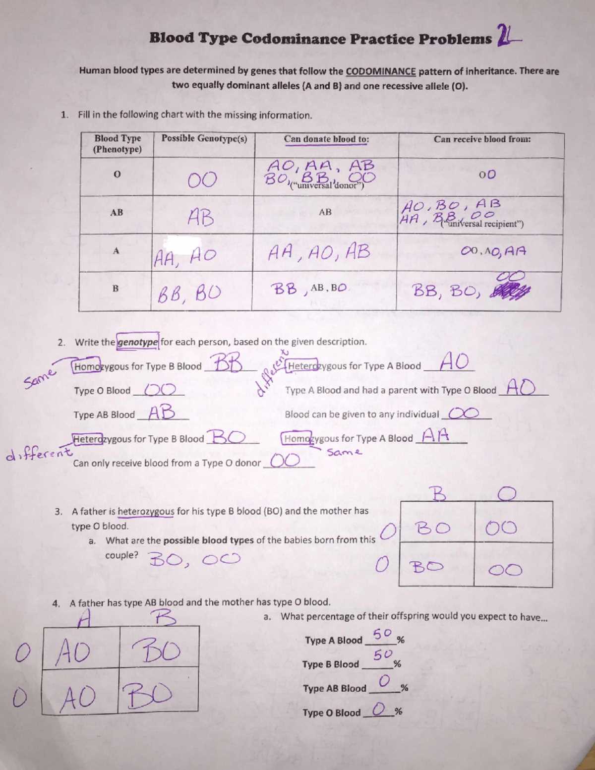 answer key codominance worksheet blood types answers