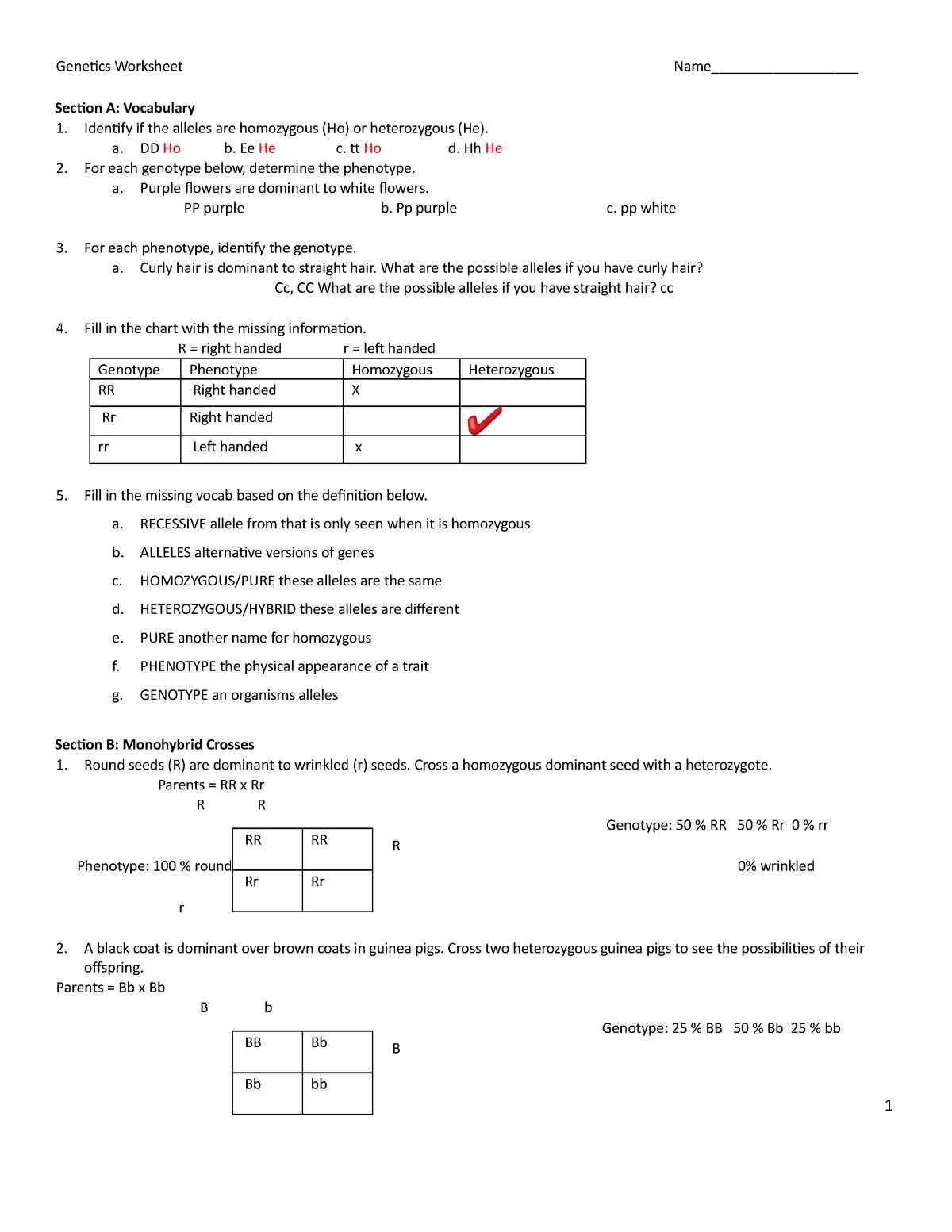 answer key mendelian genetics worksheet answers answer key mendelian genetics worksheet answers