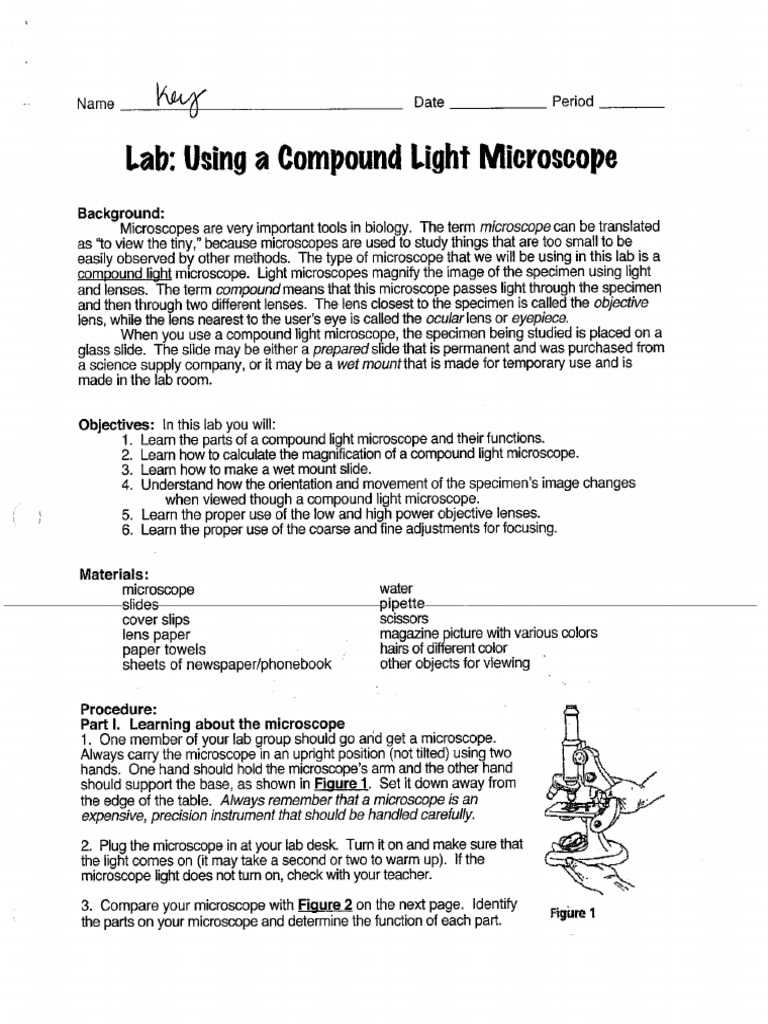 answer key virtual microscope lab worksheet answers