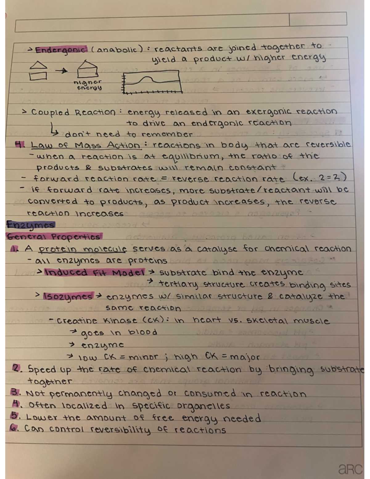 ap biology cellular respiration lab 5 answer key v nrt