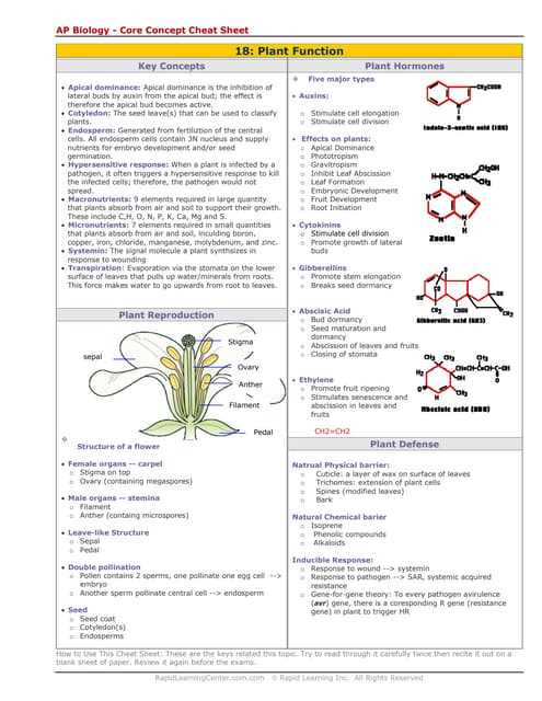 ap biology transpiration lab answer key