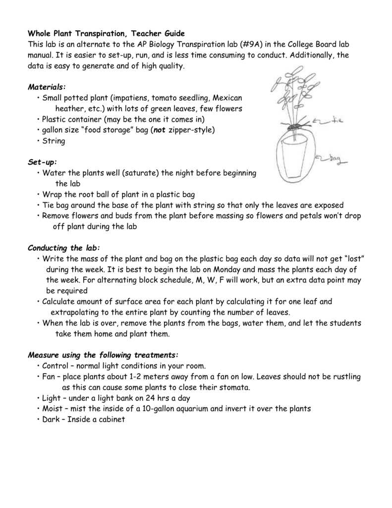 ap biology transpiration lab answer key