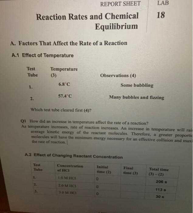 chapter 18 reaction rates and equilibrium guided reading answer key