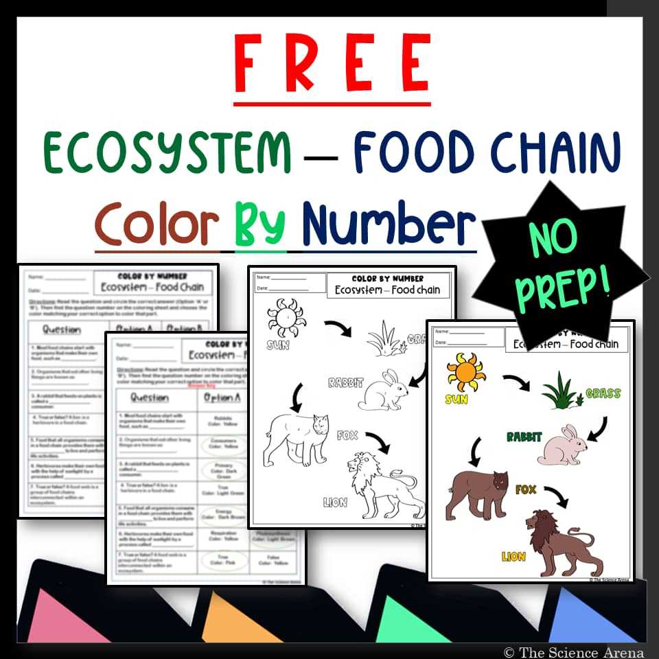 color by number food webs answer key