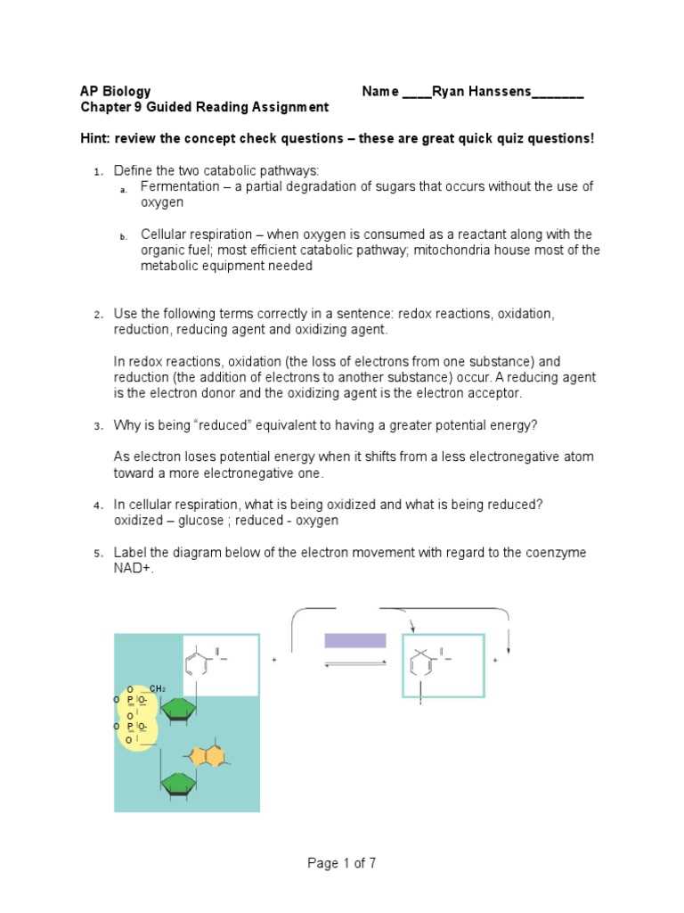 ap biology chapter 13 reading guide answer key