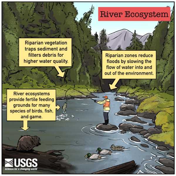 before the flood national geographic answer key