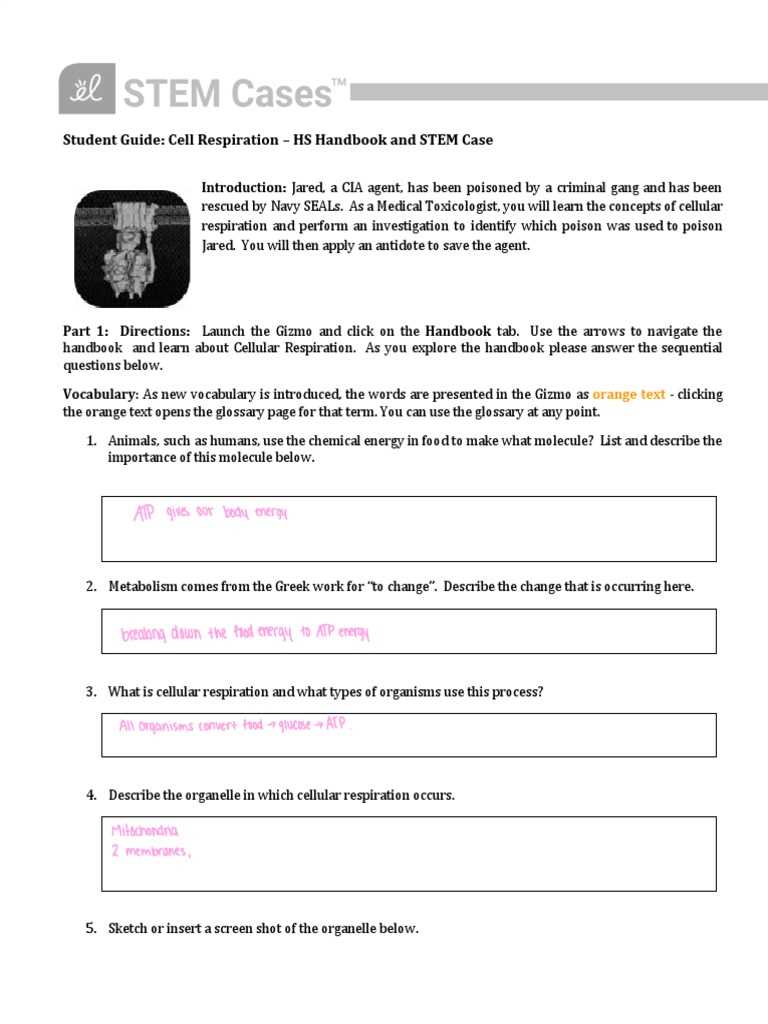gizmos diffusion stem case answer key