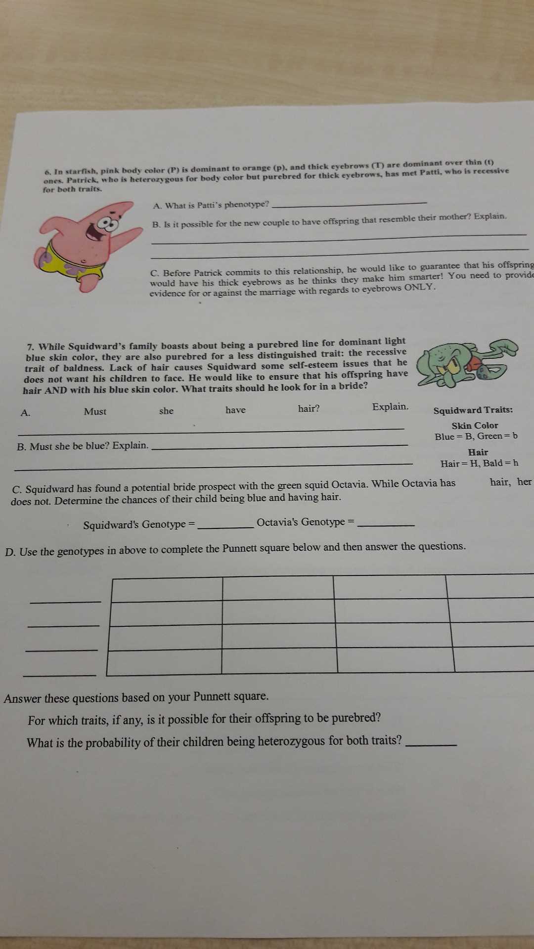 bikini bottom dihybrid answer key