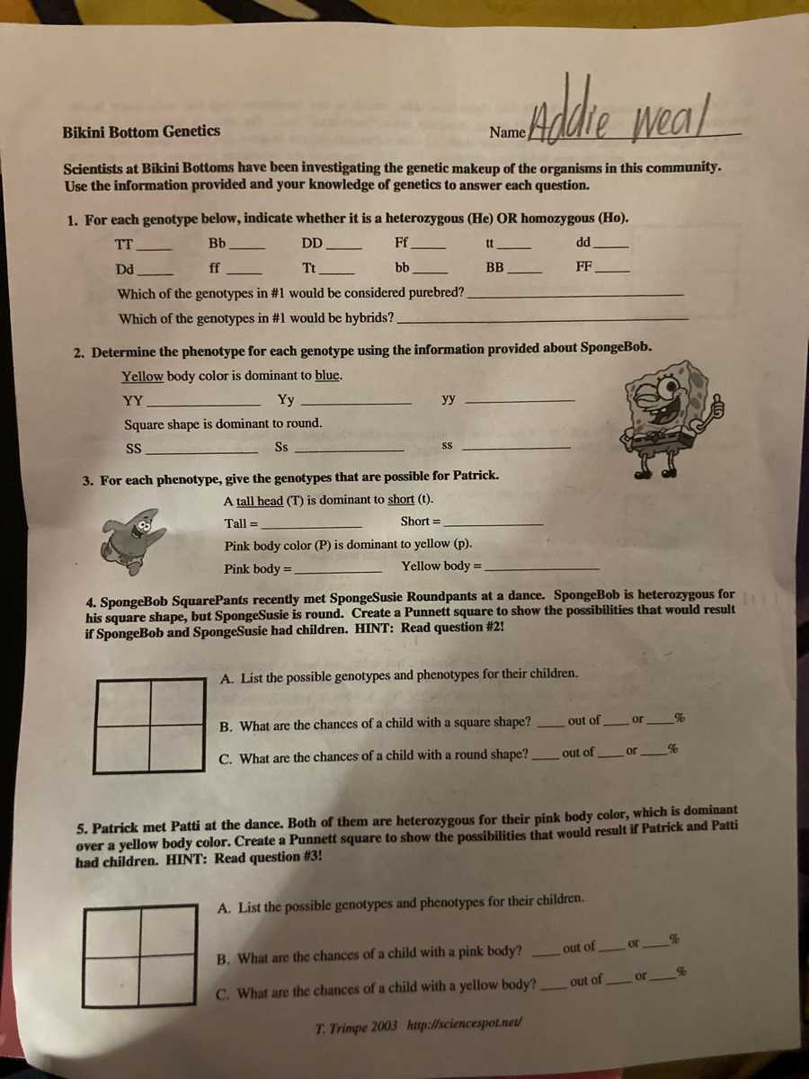 bikini bottom genetics worksheet 3 answer key