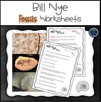 bill nye fossils worksheet answer key bill nye fossils worksheet answer key