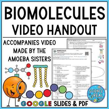 biological molecules video review sheet answer key
