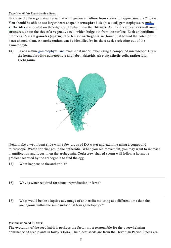 biology 7.4 homeostasis and cells answer key