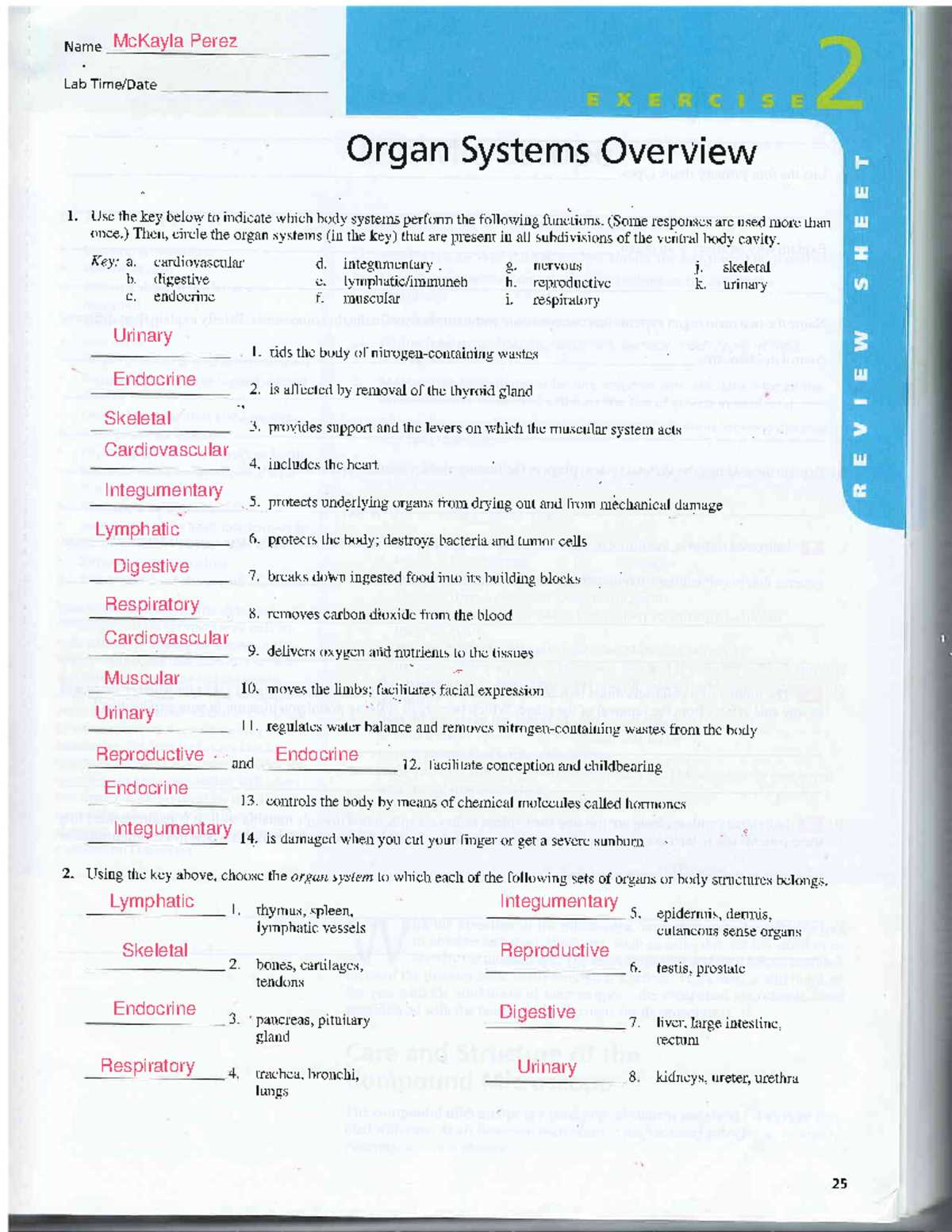 biology body system function review answer key