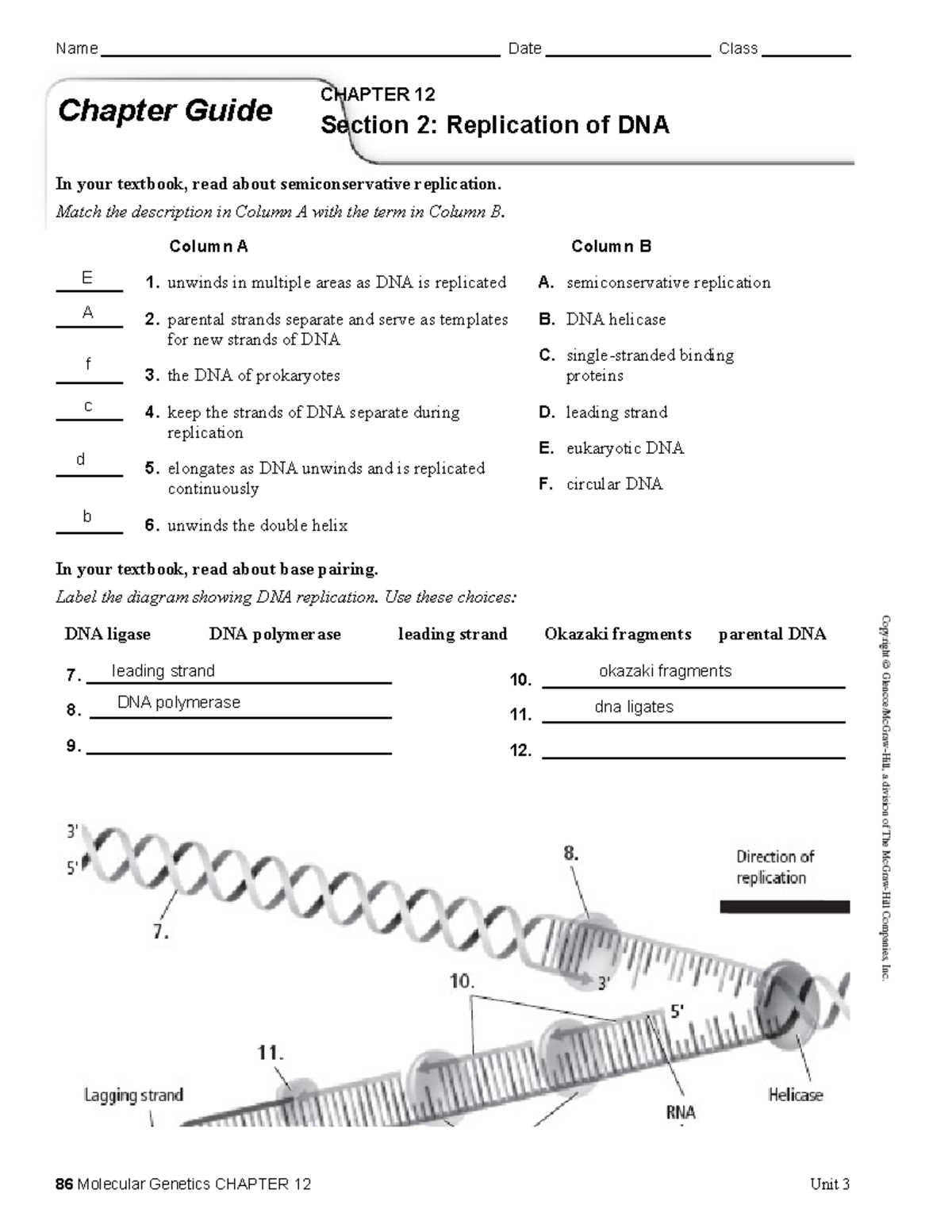 biology chapter 12 study guide answer key
