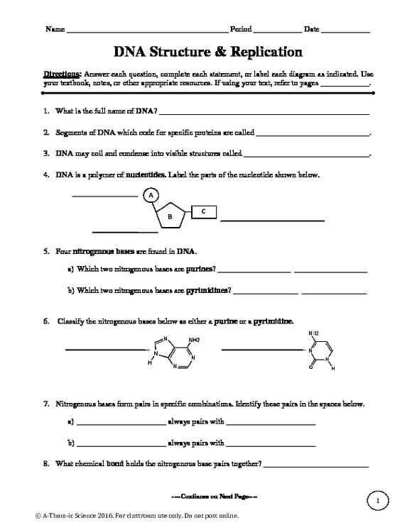 biology dna worksheet answer key