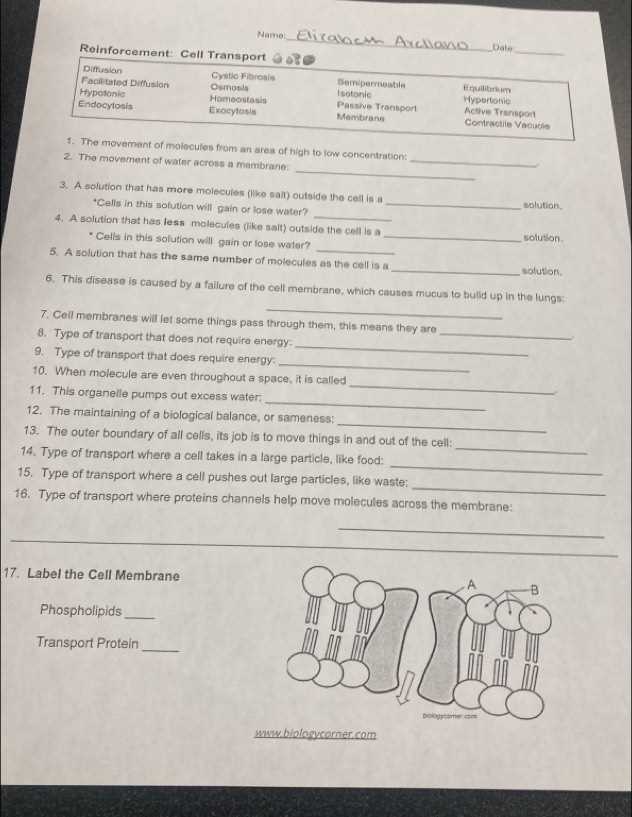biology reinforcement answer key biology reinforcement answer key