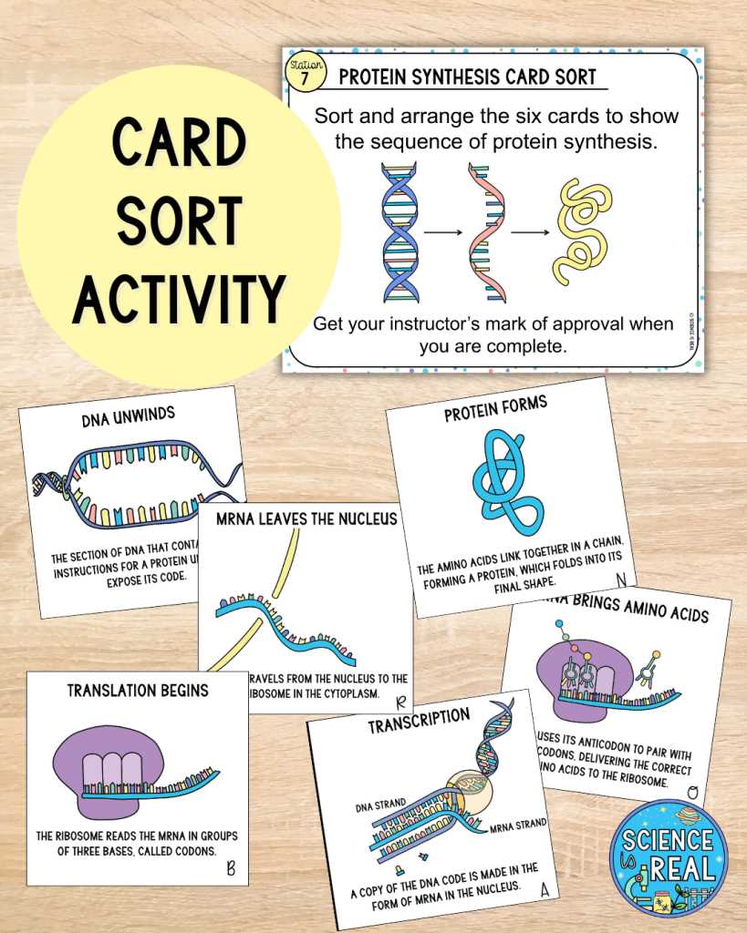 biology study guide unit 9 protein synthesis answer key