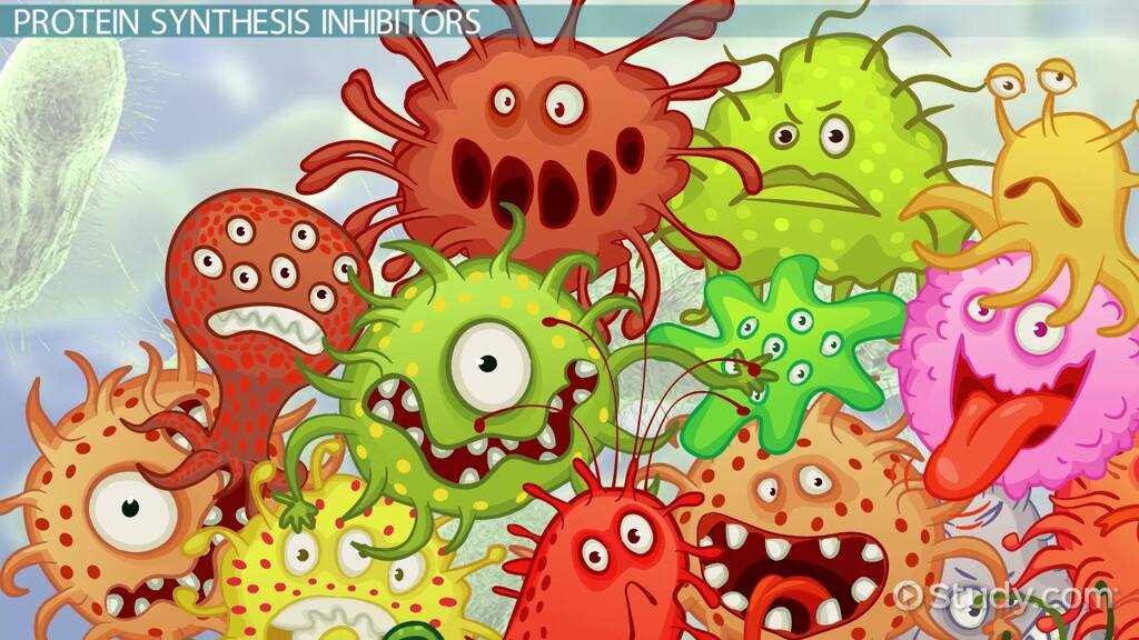 biology study guide unit 9 protein synthesis answer key