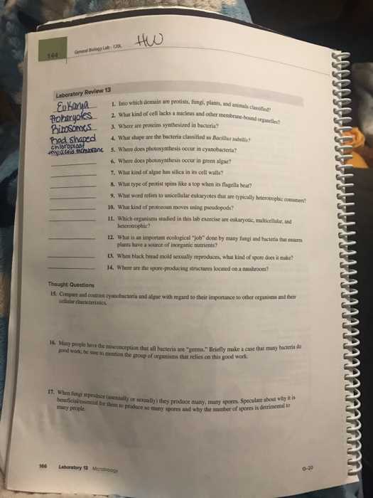 biology the dynamics of life chapter 13 wkst answer key