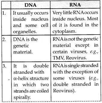 biomolecules chapter 2 3 answer key