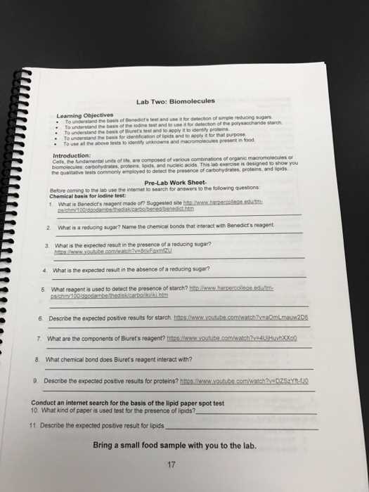 biomolecules practice questions answer key
