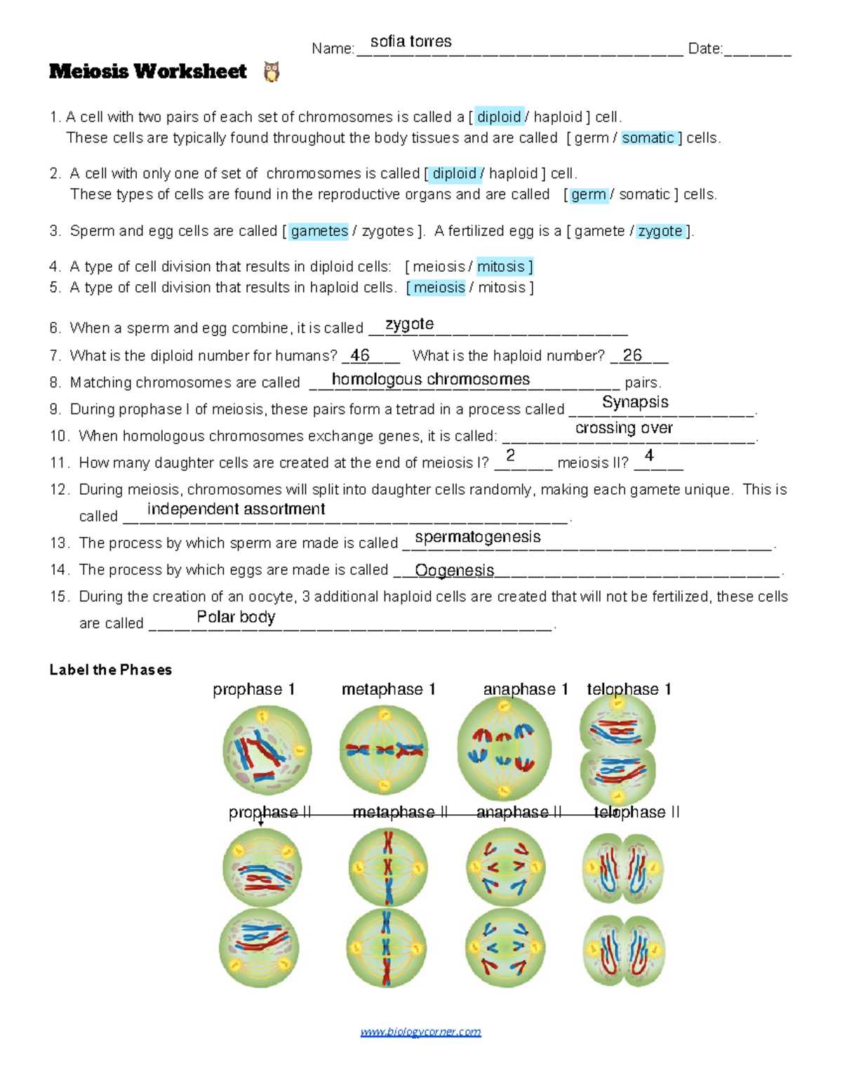 biotechnology web lesson answer key