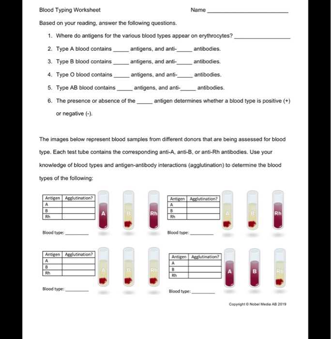 blood types and donation possibilities worksheet a answer key