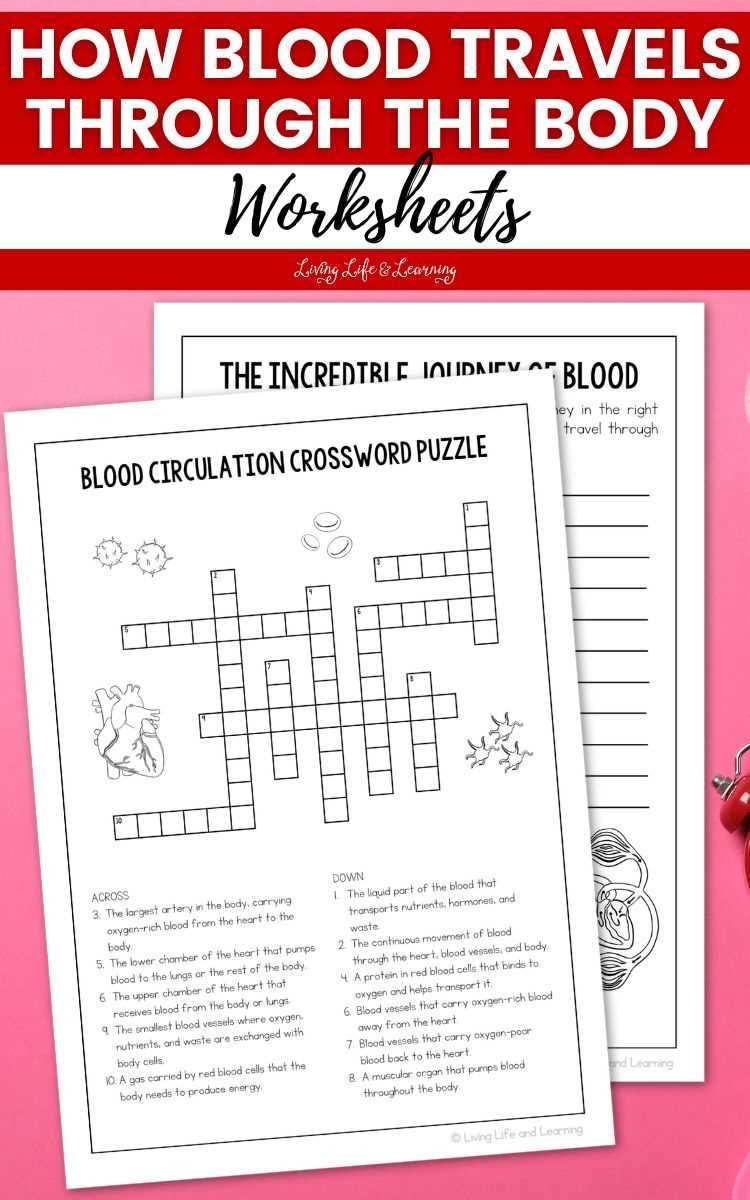 blood worksheet answer key