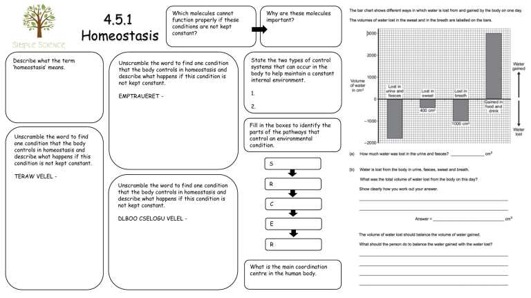 body systems graphic organizer worksheet answer key