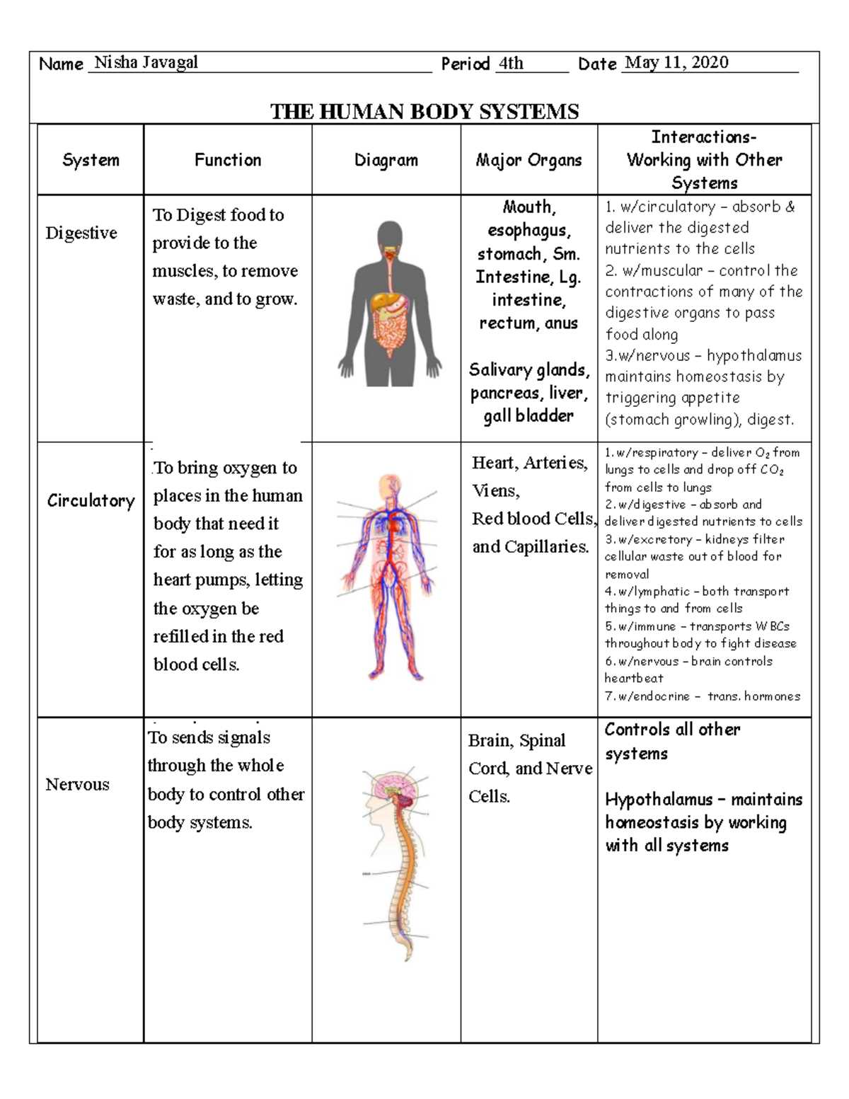 body systems web answer key