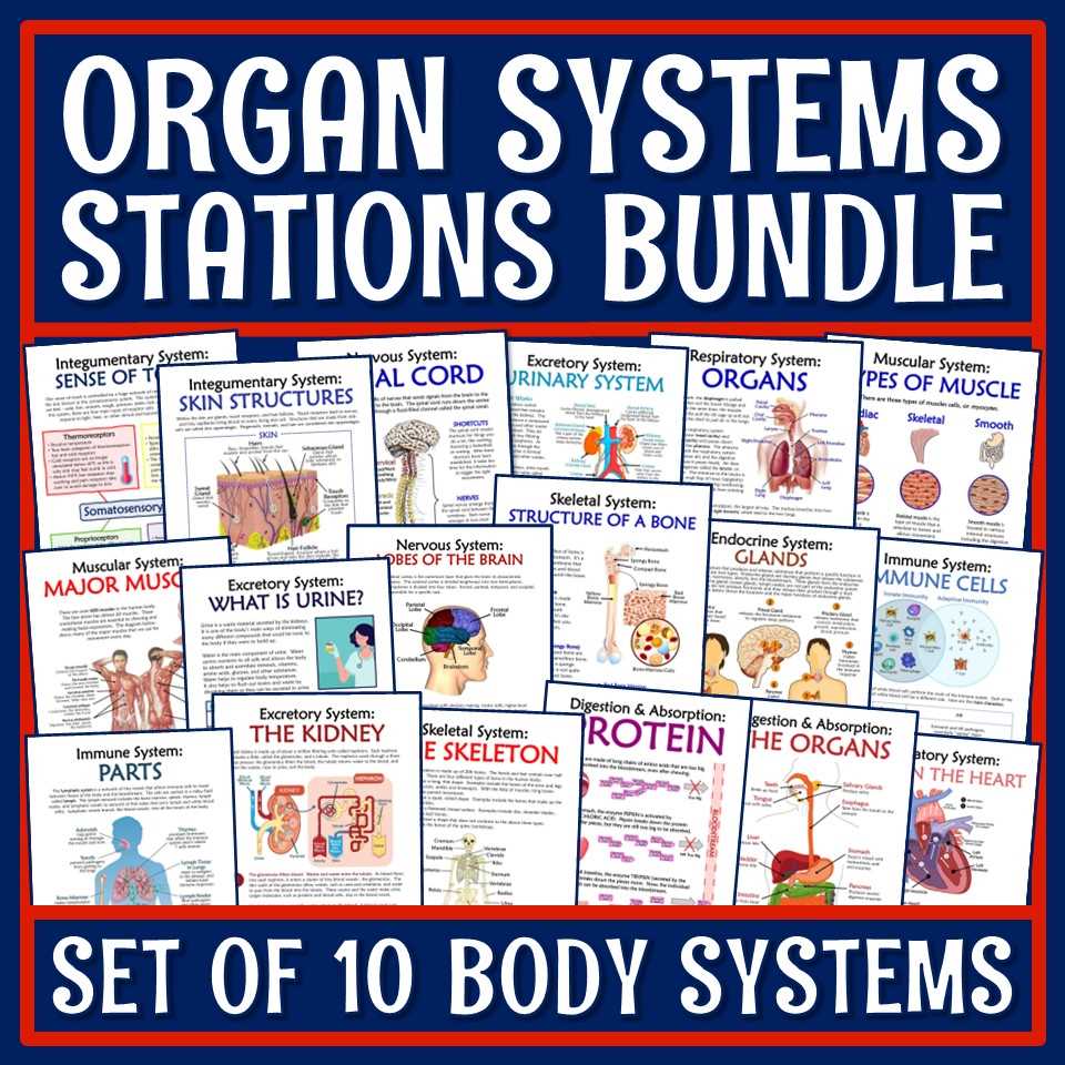 body systems webquest answer key
