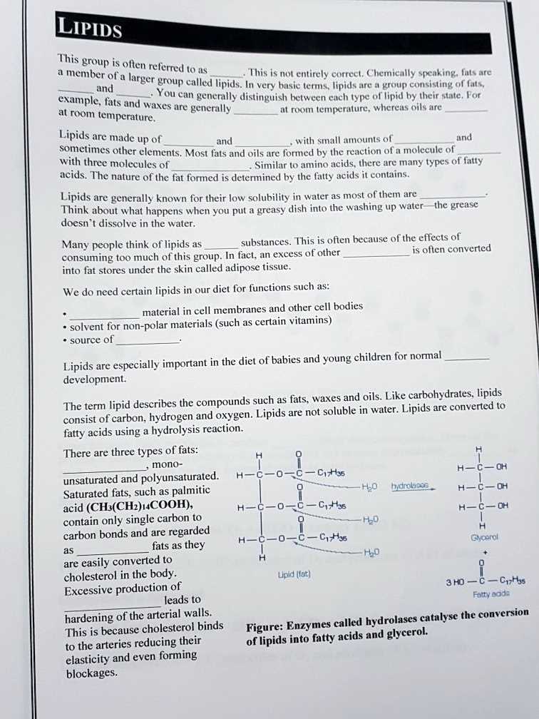 lipids worksheet answers key