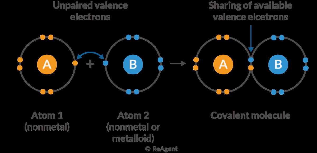 bonding by transfer of electrons answer key