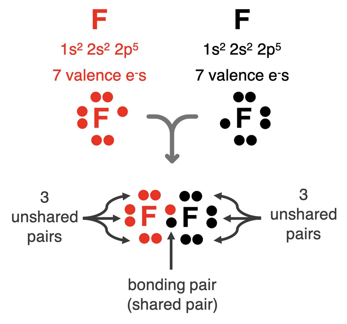 bonding covalent compounds chemistry corner answer key