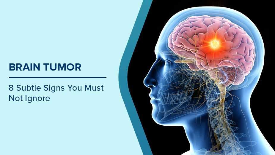 brain games pay attention worksheet answers key