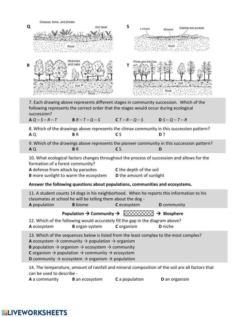 forest succession answer key