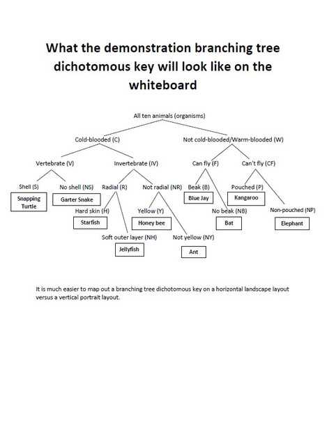 building a dichotomous key take home assignment answers