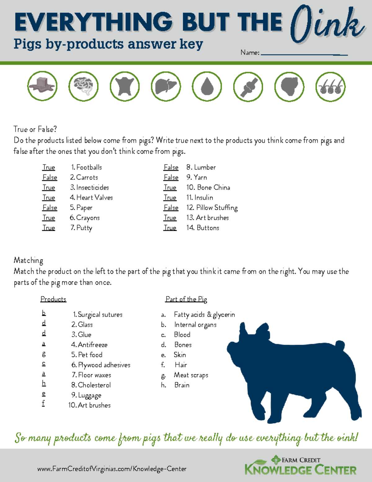 bullet color key pig worksheet answers