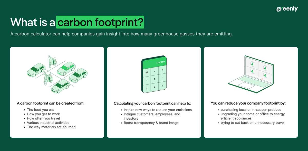 calculating your carbon footprint answer key