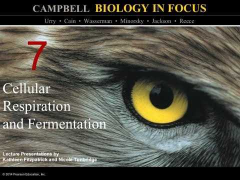campbell biology 7th edition answer key
