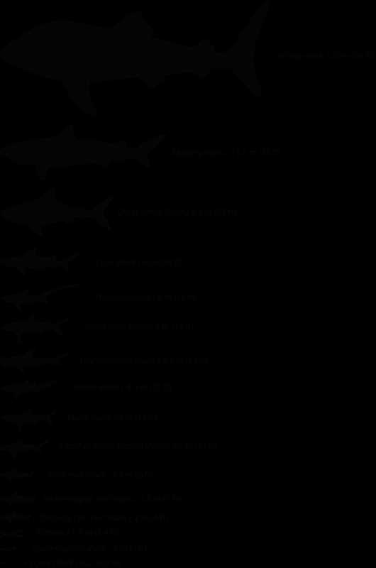 can a key be used to identify organisms sharks answers